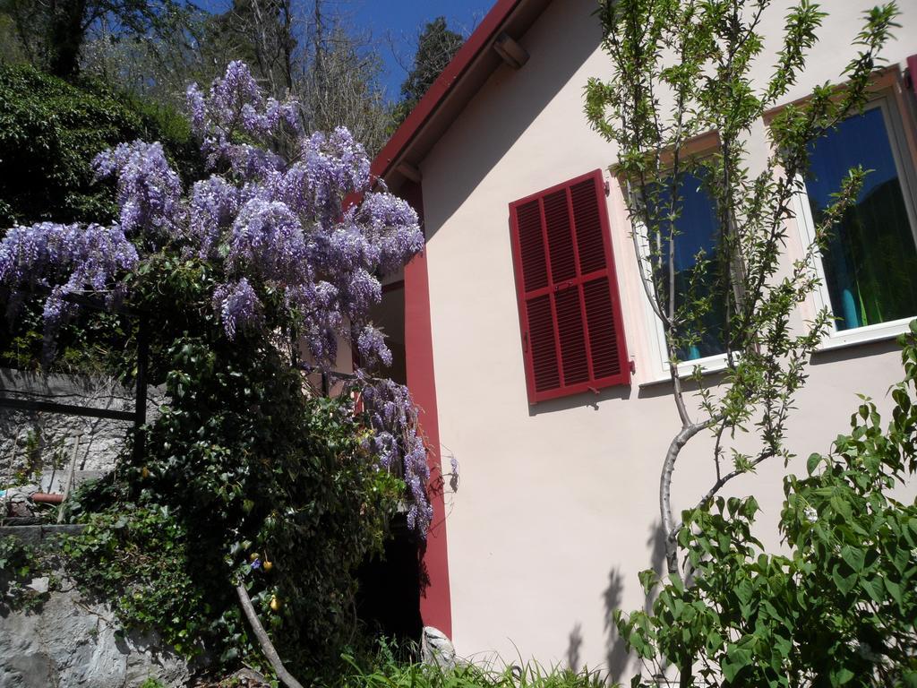 Chambres D'Hotes Casa Sylvana Saint-Dalmas-de-Tende Exterior photo